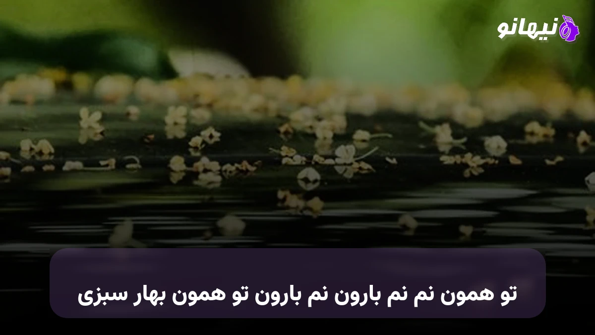 دانلود آهنگ تو همون نم نم بارون نم بارون تو همون بهار سبزی 